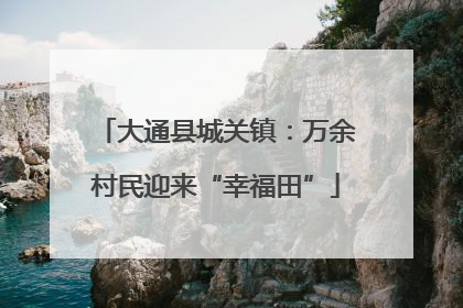 大通县城关镇：万余村民迎来“幸福田”
